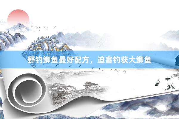 野钓鲫鱼最好配方，迫害钓获大鲫鱼